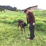 Profile Picture of Fausto Peña (@fausto.pena.3914) on Instagram