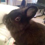 Daniele Salamone - Instagram Profile Picture of Daniele Salamone (@daniele.salamone87) on Instagram