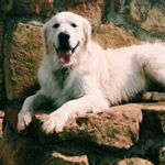 Profile Picture of Wayne Brummett (@waaayynee) on Instagram