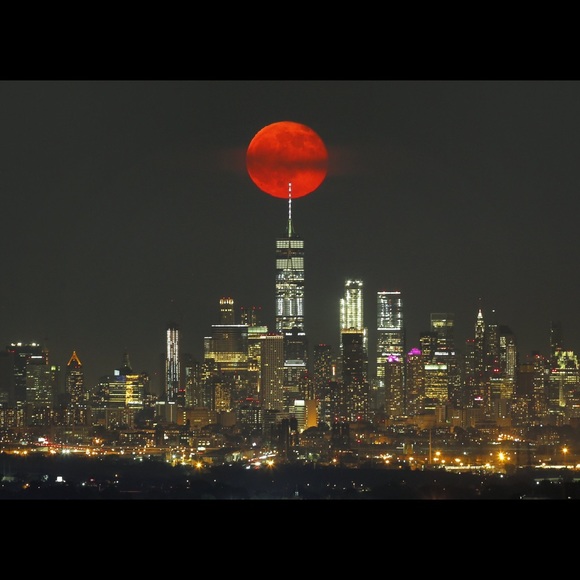 Brian Holness - Poshmark Profile Picture of Brian Holness (@beezebee0627) on Poshmark