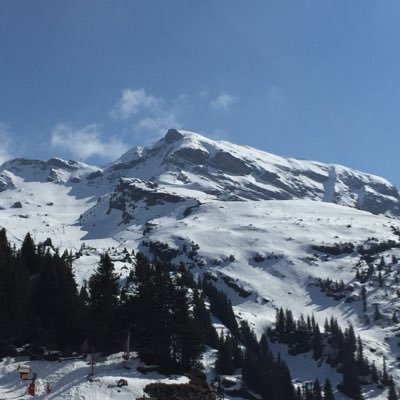 Profile Picture of Stephen Capper (@starfishcapper) on Twitter