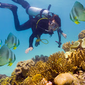 Oliver Maxwell - Youtube Profile Picture of Oliver Maxwell (@olivermaxwell6404) on Youtube