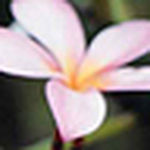 Profile Picture of Jane Scott (@janeloureyscott) on Flickr