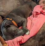 Profile Picture of Kenneth Oliver Jr. (@kennetholiverjr) on Facebook