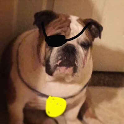 Profile Picture of Gabriel Cantu 7 (@gabrielcantu72) on Twitter