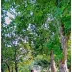 Profile Picture of Doping Jago (@Doping-Jago) on Facebook