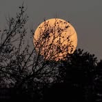 Moumi Shikdar - Facebook Profile Picture of Moumi Shikdar (@moumi.shikdar.2025) on Facebook