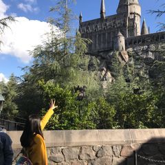 Profile Picture of Lucy Jiang546 (@lucyjiang17) on Tiktok