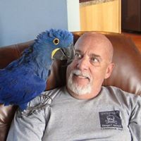 Profile Picture of David Roche (@david-roche-39) on Quora