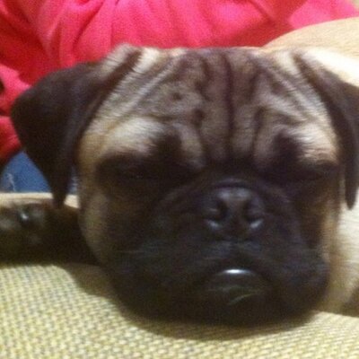 Profile Picture of David McGilvray (@dmacdoc) on Twitter