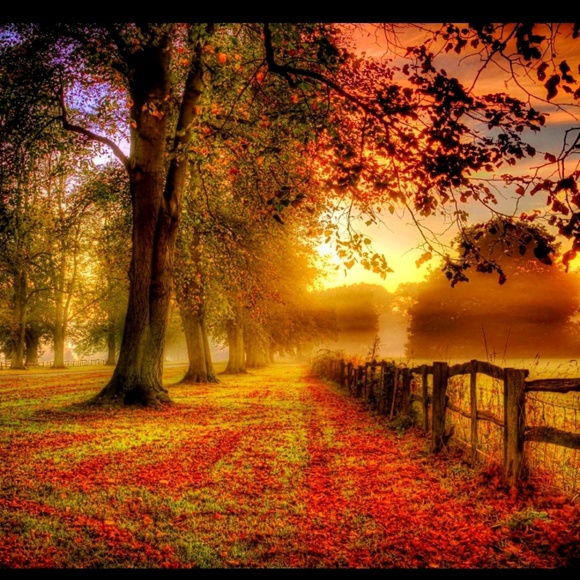 Profile Picture of Christy Mcnay (@christymcnay) on Poshmark