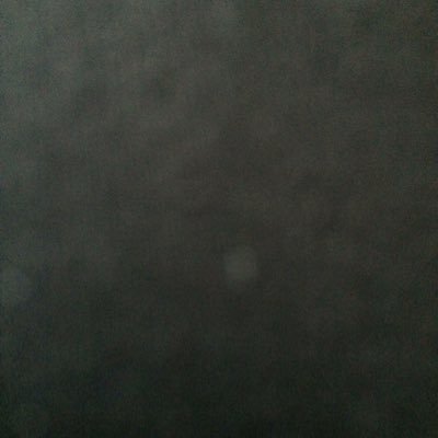 Profile Picture of Mary Anne Palmieri (@MaryMavipal) on Twitter