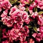 Profile Picture of John Wilcox (@johnwilcoxkz) on Instagram