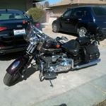 Profile Picture of Steve Mavrolas (@stevemavrolas) on Instagram