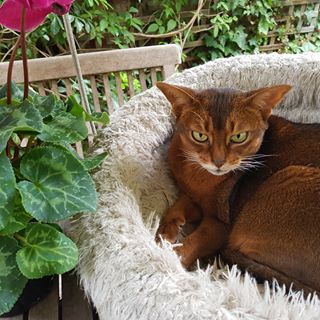 Profile Picture of Gabrielle Keating (@gabrielle.keating.39) on Facebook