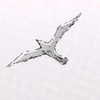 Profile Picture of bred657 (@@bradbreed) on Tiktok