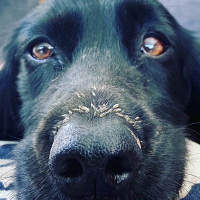 Profile Picture of Julia Bacon (@JuliaBacon13) on Twitter