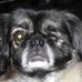 Profile Picture of Carroll Bailey (@carroll.bailey.7) on Facebook
