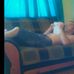 Profile Picture of Gavin Nicholson (@gavin.nicholson.526) on Facebook