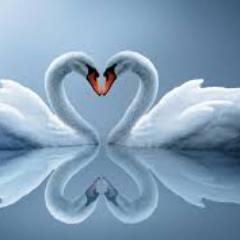 Profile Picture of Nasrin Haque (@nasrinhaque10) on Twitter