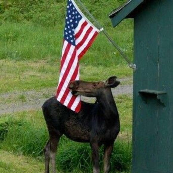 Profile Picture of Derek Ardito (@dardito) on Poshmark