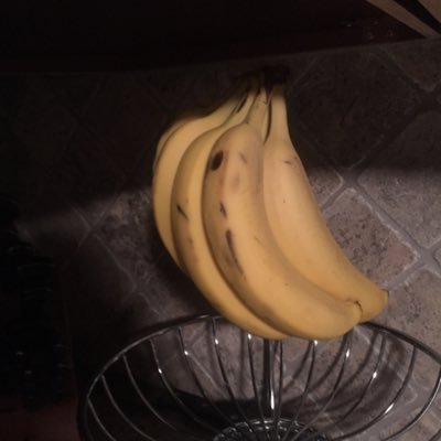 Profile Picture of Andrew Lucci (@CoD_of_DEAD) on Twitter