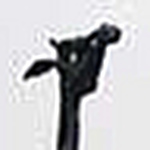 Profile Picture of The Cathy Moore (@blufinger) on Flickr