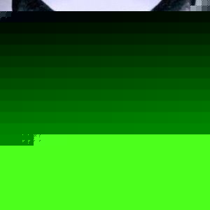 Adib Bamieh - Myspace Profile Picture of Adib Bamieh (@bamieh) on Myspace