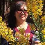 Profile Picture of Lorena Sperry (@lsperry66) on Instagram