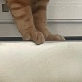 Profile Picture of Johnbohn (@johnbohnv) on Tiktok