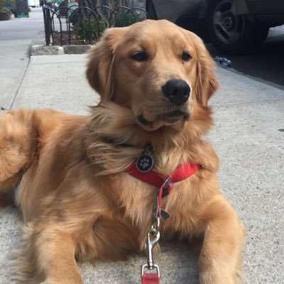 Profile Picture of David Roth (@droth5407) on Twitter