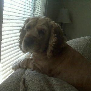 Profile Picture of Carrie Morris (@429258055) on Myspace