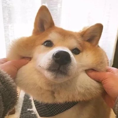 Profile Picture of JackeyLiu (@jackeyLiu6) on Twitter