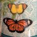 Profile Picture of Kay Reho (@kreho) on Pinterest