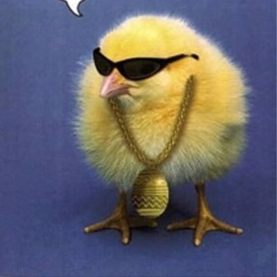 Profile Picture of BDBB (@DavidMelroy) on Twitter