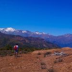 Profile Picture of Chancaca Tomas (@eladiochaca) on Instagram