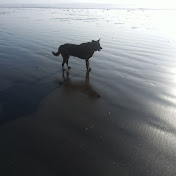 Profile Picture of David Ames (@davidames273) on Youtube