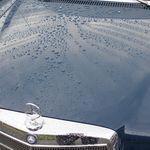 Profile Picture of Rolf Knappert (@rolf_knappert) on Instagram