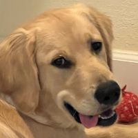 Profile Picture of David Weltman (@@dw12290) on Tiktok