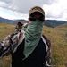 Profile Picture of steve willson (@willsonsm) on Pinterest
