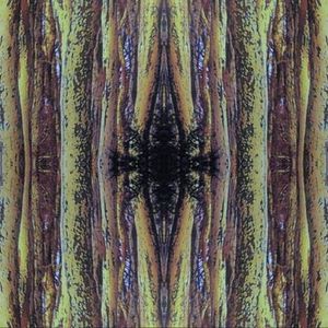 Profile Picture of Nicolas Carrillo (@335812074) on Myspace