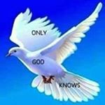 Profile Picture of Surgeon Dick John Mahlangu (@surgeondickjohn) on Instagram