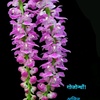 Profile Picture of David Baro (@@davidbaro.4) on Tiktok