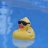 Profile Picture of Thomas Garrison (@@tgrizzly99901) on Tiktok