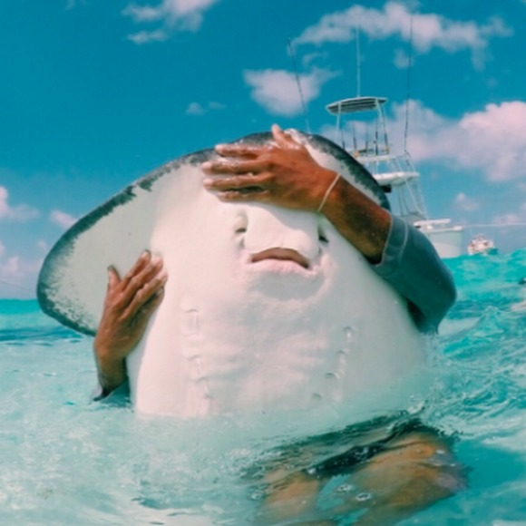 Profile Picture of Sarah Imhoff (@sarahimhoff716) on Poshmark