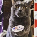 Profile Picture of Robert Ivancic (@robert.ivancic.9) on Facebook