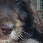 Profile Picture of Monty M(Shelly Mountain) (@monty8wks) on Instagram