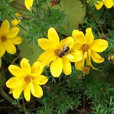 Profile Picture of Liz Jacklin (@JonJacklin) on Twitter