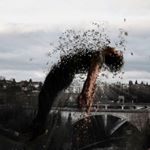 Profile Picture of Huldi, Bley R. & Grant Gale (@theedgeofphotography) on Instagram