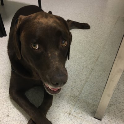 For Whom The Bells Toll - Twitter Profile Picture of For Whom The Bells Toll (@AdamWya01917665) on Twitter